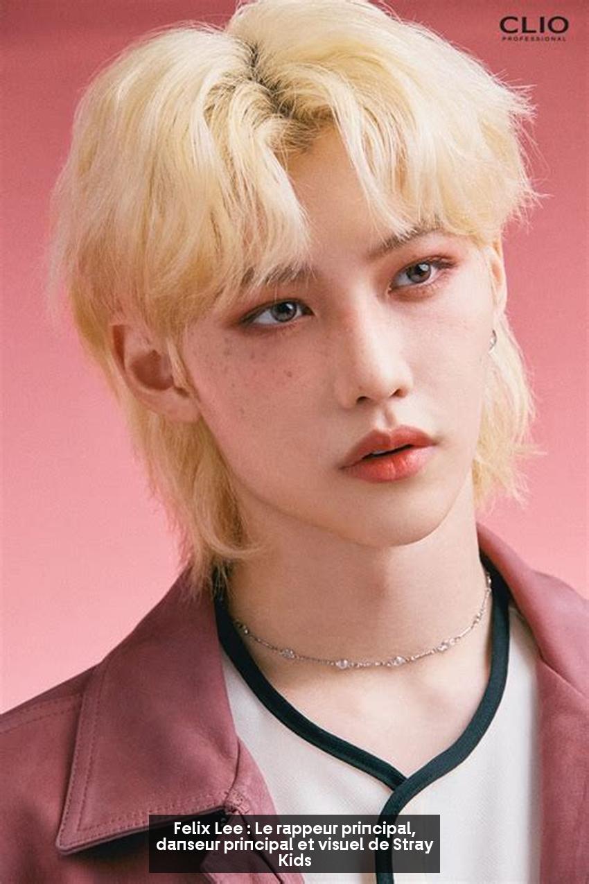 Felix Lee : Le rappeur principal, danseur principal et visuel de Stray Kids