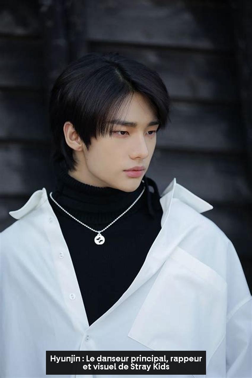 Hyunjin : Le danseur principal, rappeur et visuel de Stray Kids