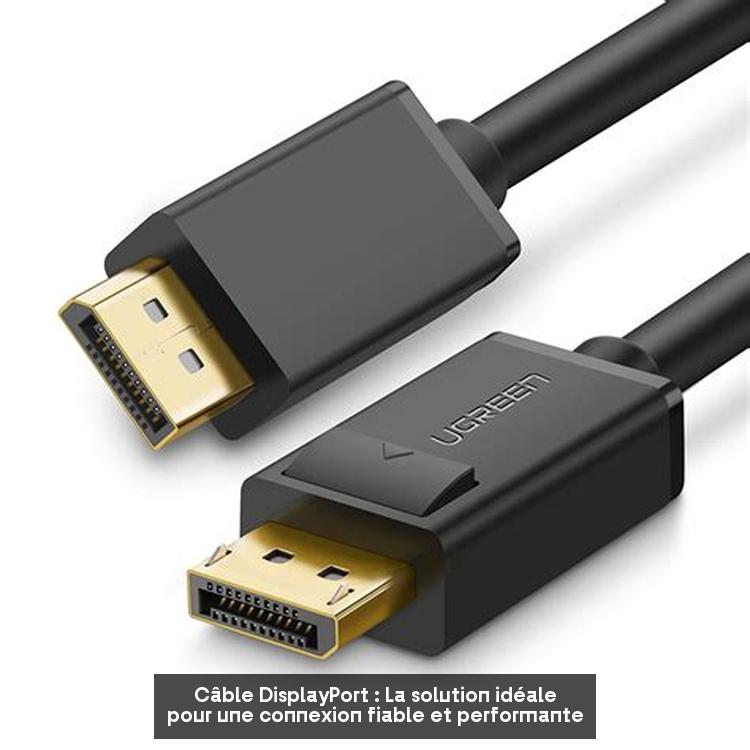 Câble DisplayPort : La solution idéale pour une connexion fiable et performante