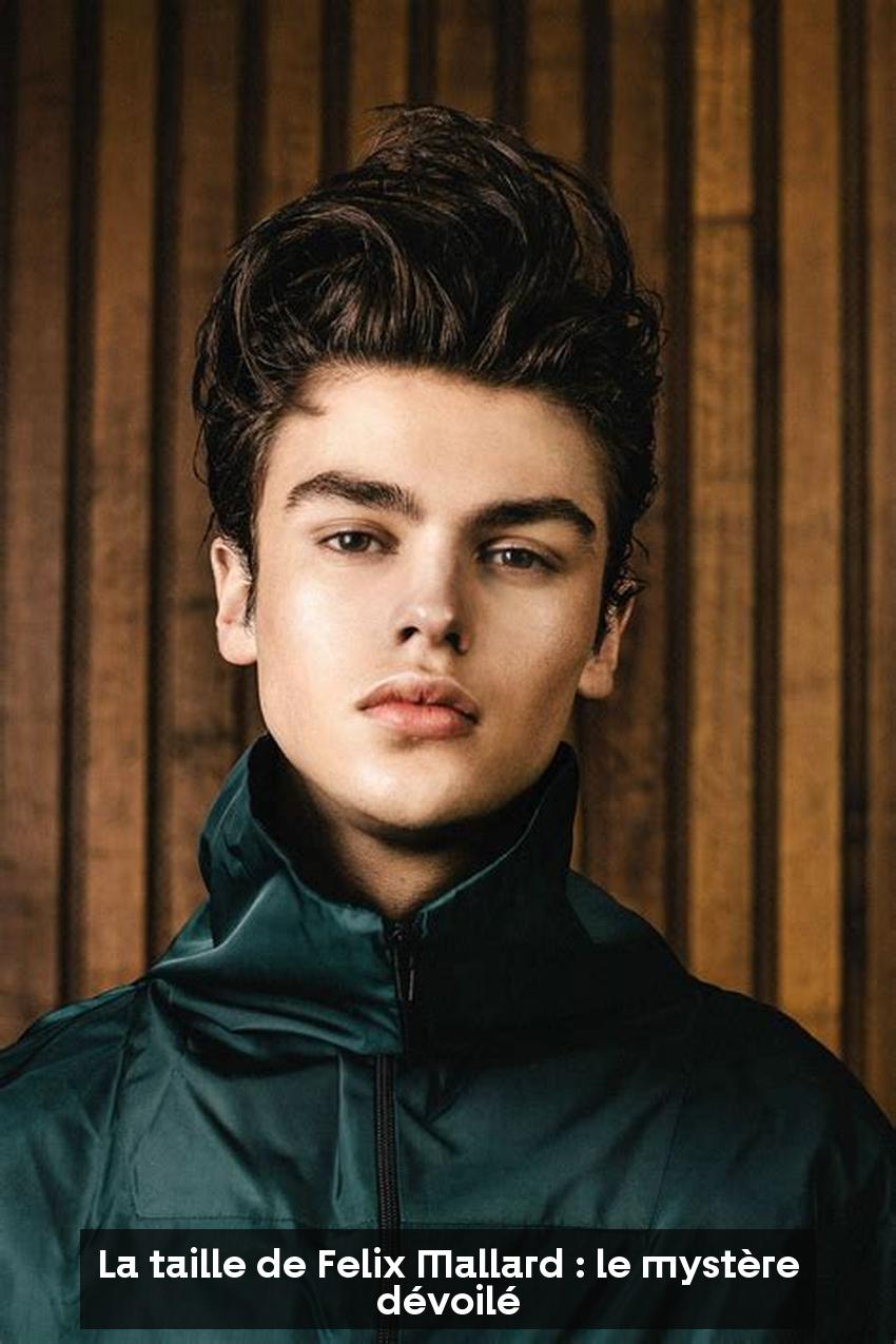 La taille de Felix Mallard : le mystère dévoilé